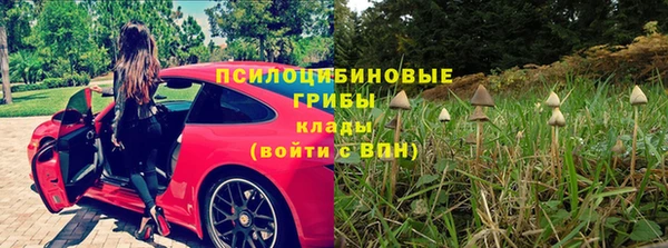2c-b Алзамай