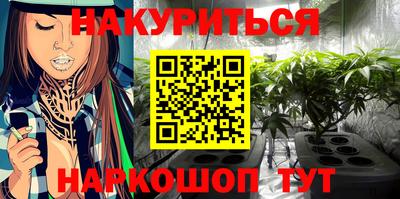 jwh Будённовск