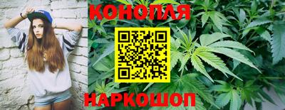 стафф Бузулук