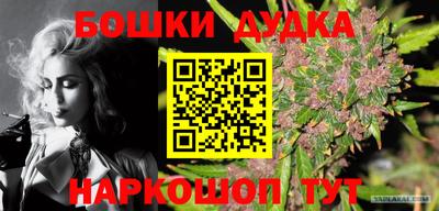 jwh Будённовск