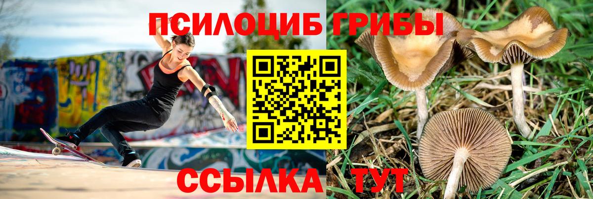 Галлюциногенные грибы мицелий Южно-Сахалинск