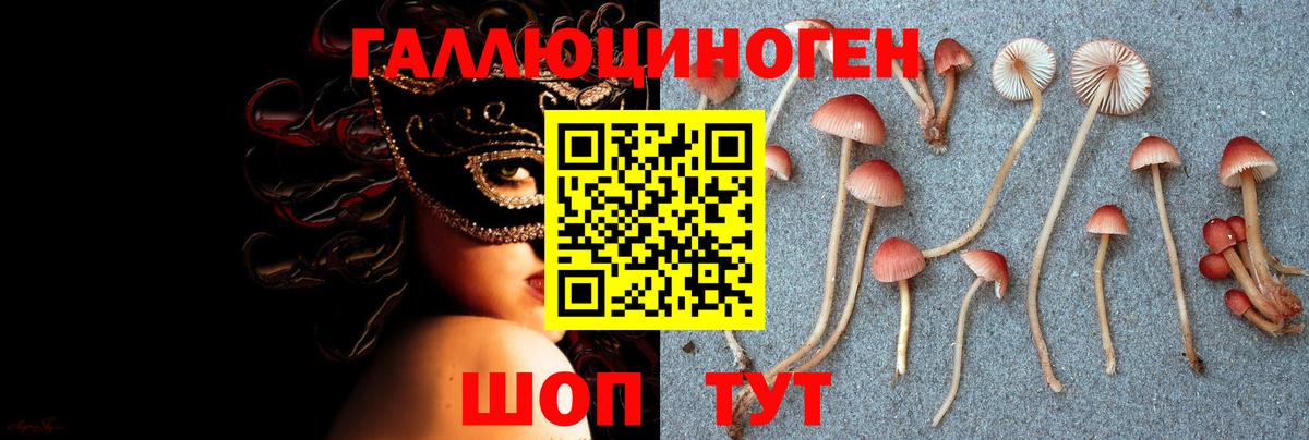 Южно-Сахалинск  Галлюциногенные грибы мицелий  Псилоцибиновые грибы мухоморы  купить закладку  Вход с VPN 
